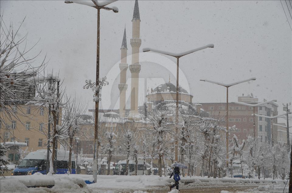 Doğu Anadolu'da kış
