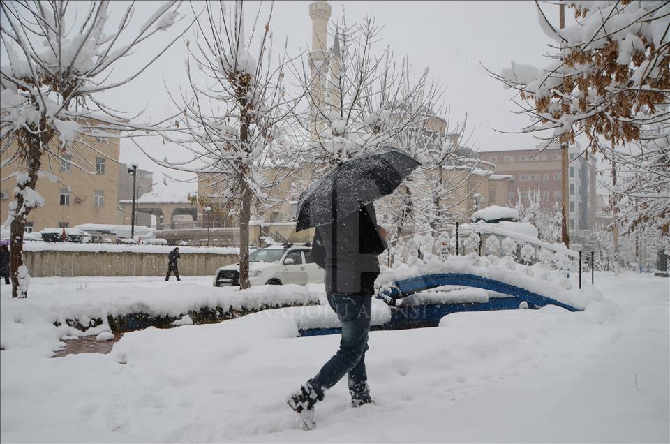 Doğu Anadolu'da kış
