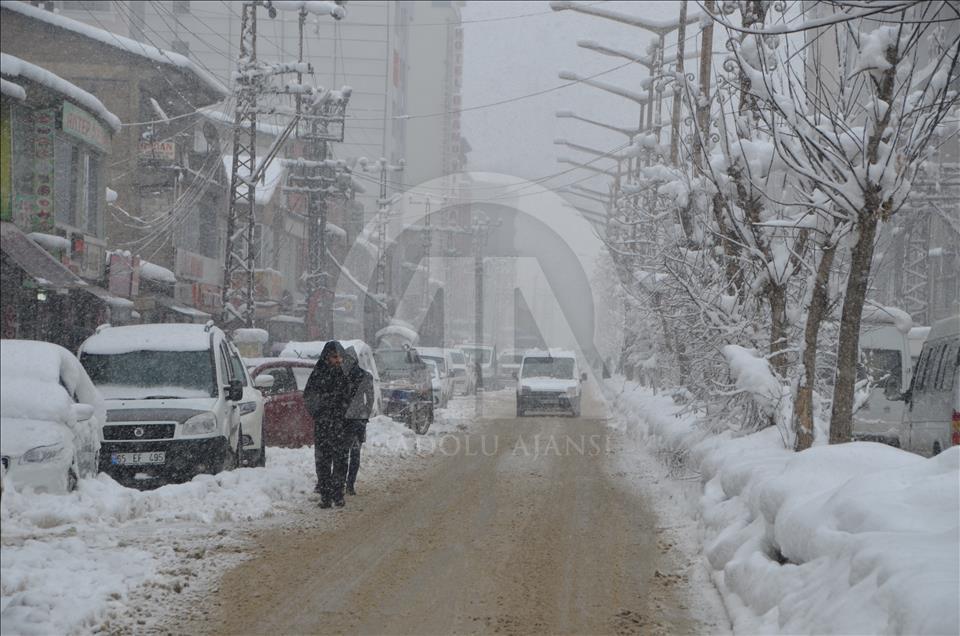 Doğu Anadolu'da kış
