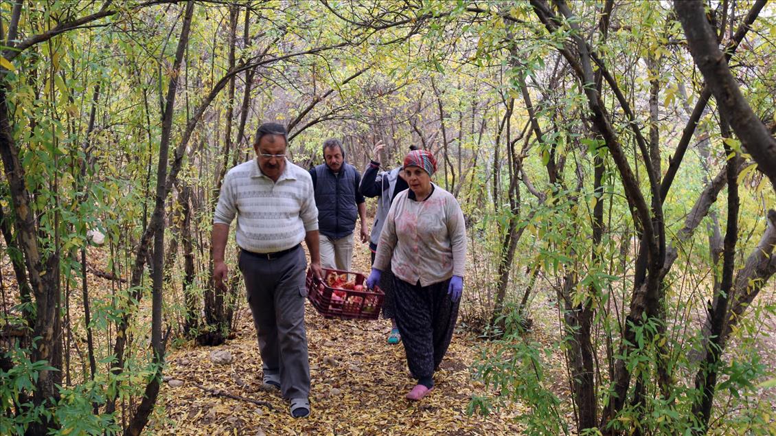 Zınnar Vadisi'nin 5 bin yıllık tadı