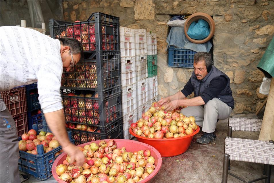 Zınnar Vadisi'nin 5 bin yıllık tadı