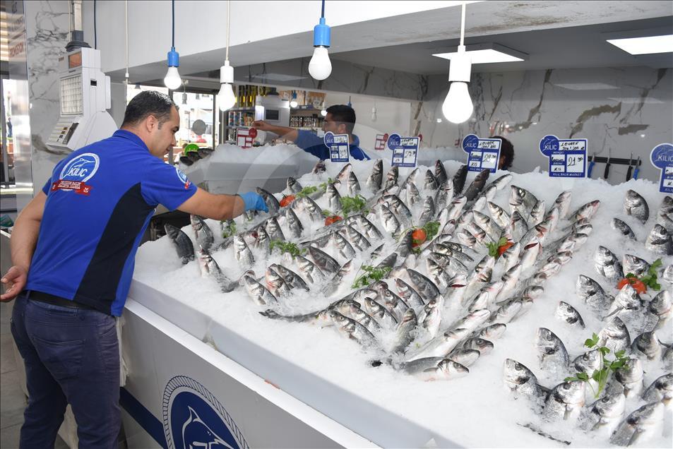 Balığı 65 ülkeye satıyor, yavrusunu uçakla taşıyor