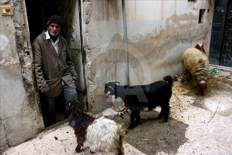 زوج سالمند پاکستانی در انتظار نجات از غوطه شرقی هستند