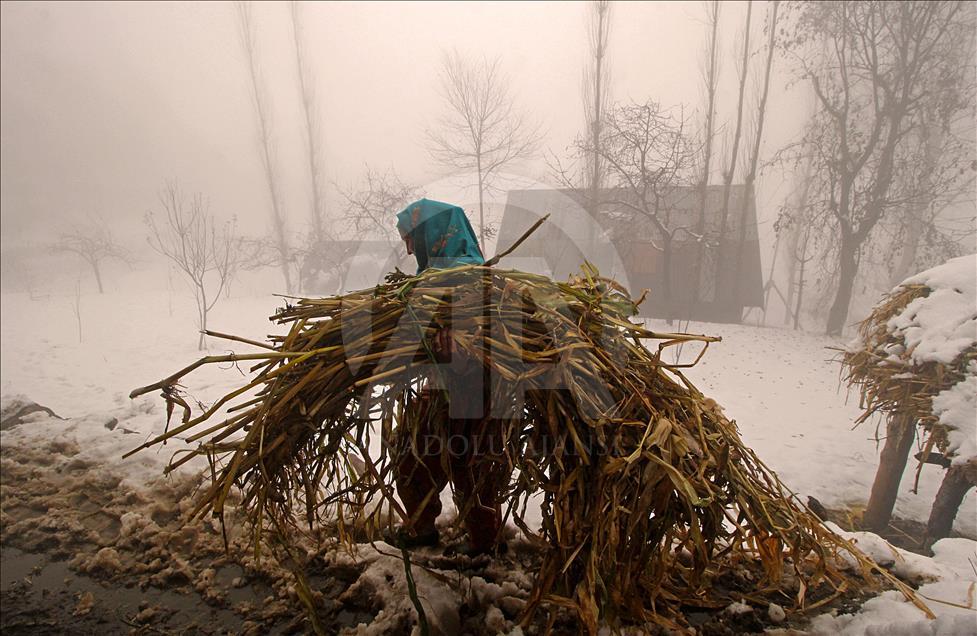  Heavy snowfall hits Kashmir