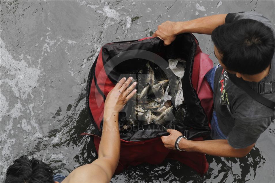 Jakartans catch drifted fishes at water gate after heavy rainfall