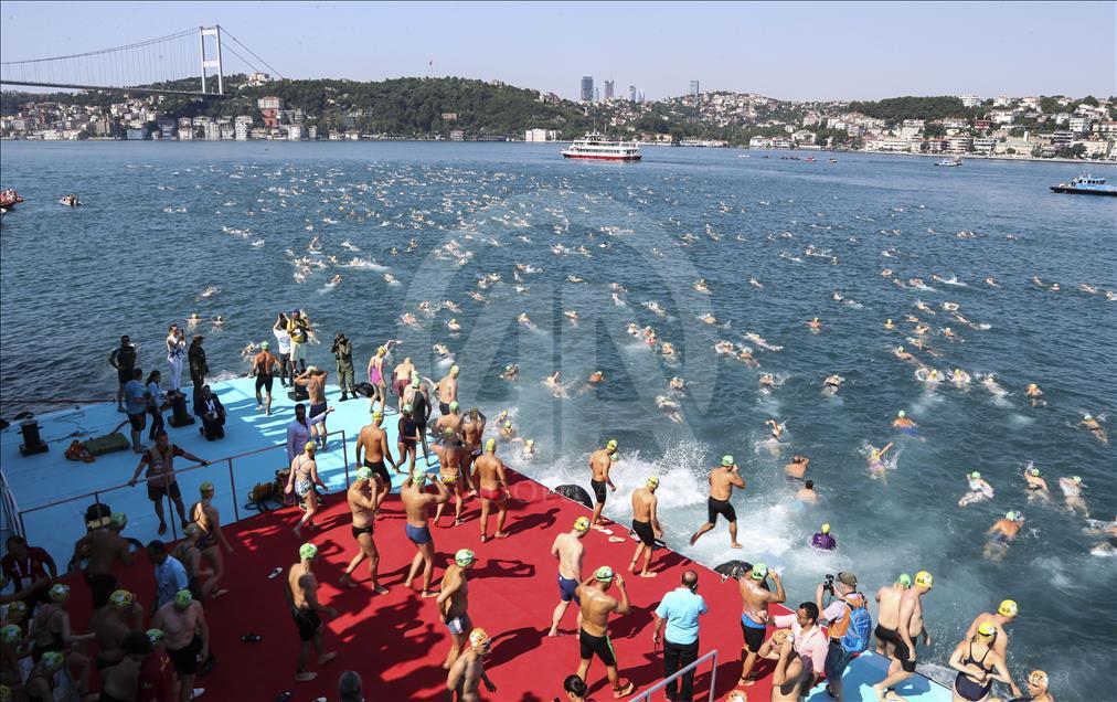 Anadolu Ajansı Gözüyle 2017