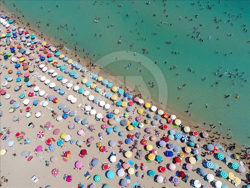 Anadolu Ajansı Gözüyle 2017