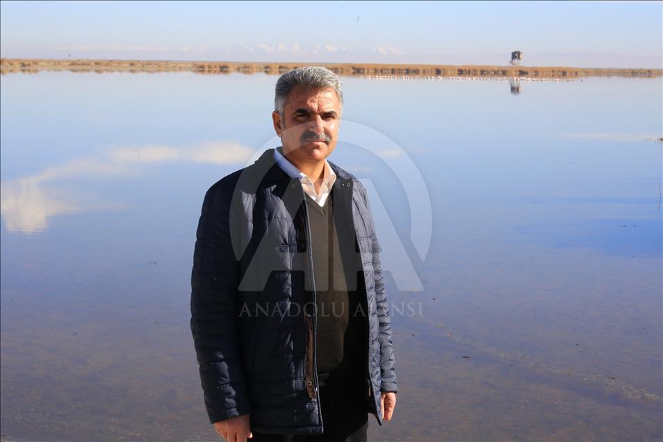 Koruma altındaki "kuş cenneti" misafirlerini ağırlıyor