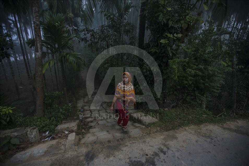 Cox's Bazar'da sisli sabah