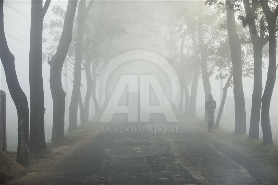 Cox's Bazar'da sisli sabah