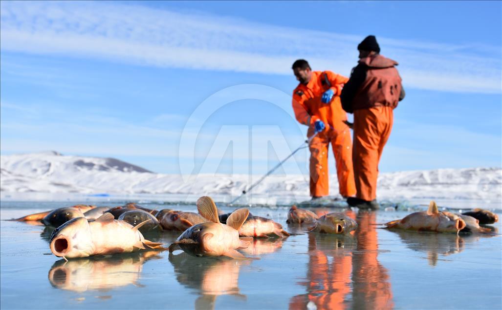 Ice fishing on Lake Hamurpet in Turkey