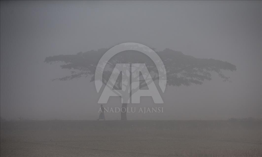 Cox's Bazar'da sisli sabah