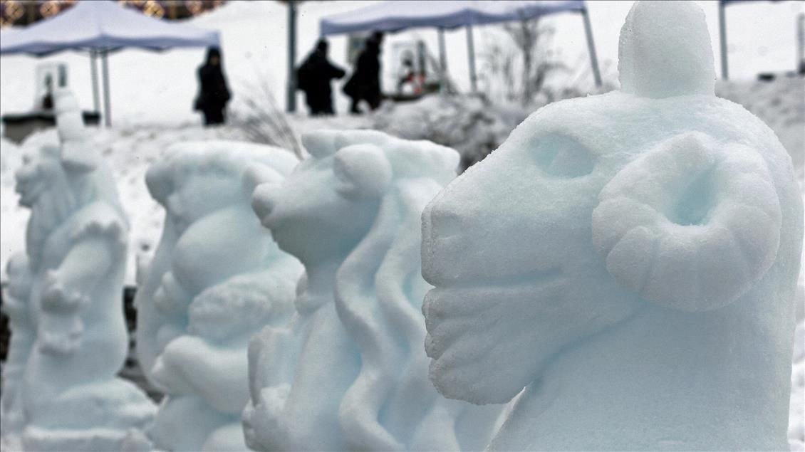 Kiev'de Buz Devri Festivali