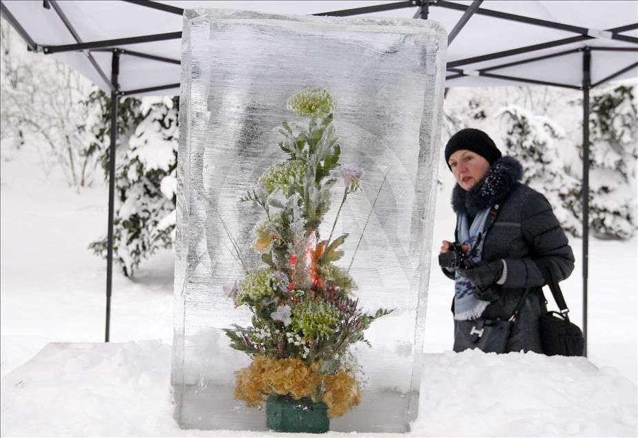 Kiev'de Buz Devri Festivali