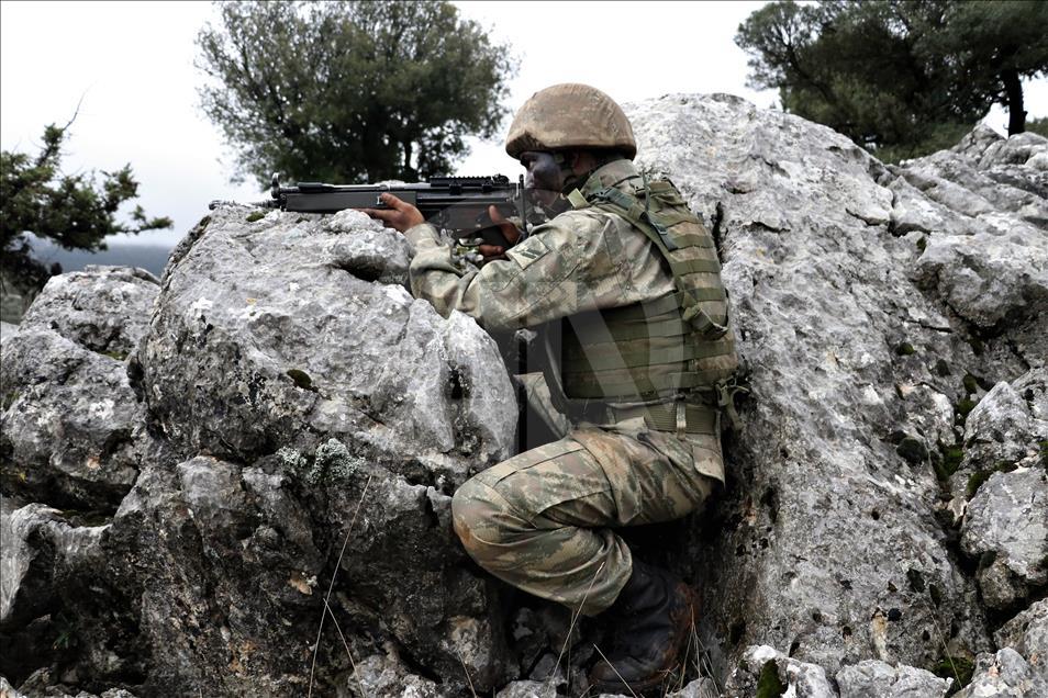 "Dağların aslanları" ansızın vuruyor
