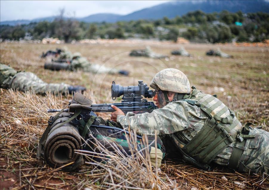 "Dağların aslanları" ansızın vuruyor