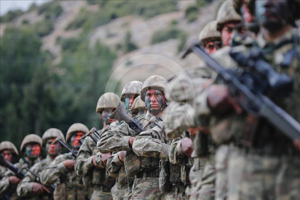 "Dağların aslanları" ansızın vuruyor