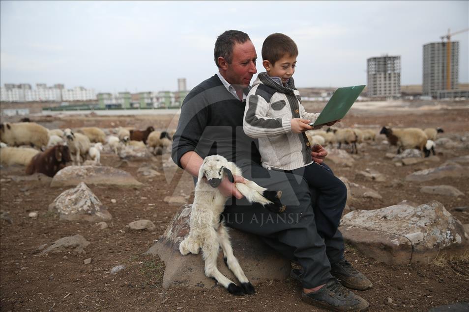 AA'nın "Yılın Fotoğrafları" oylaması