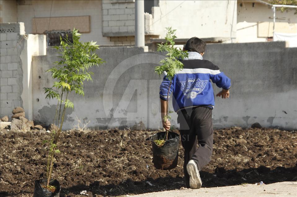 'We plant future' event in Syria's Homs