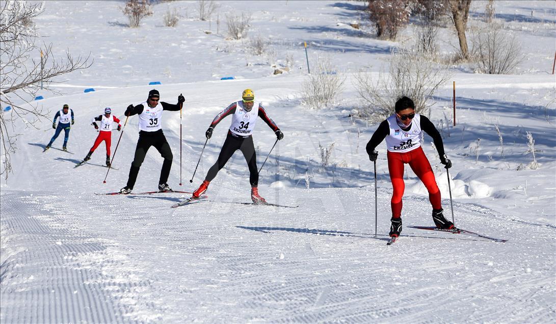 Kayaklı Koşu FIS Yarışları