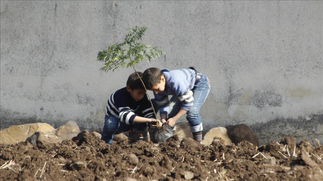 Humus'ta çocuklar "umut dikiyor"
