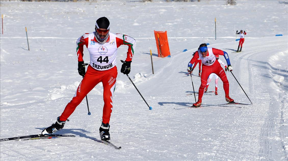 Kayaklı Koşu FIS Yarışları