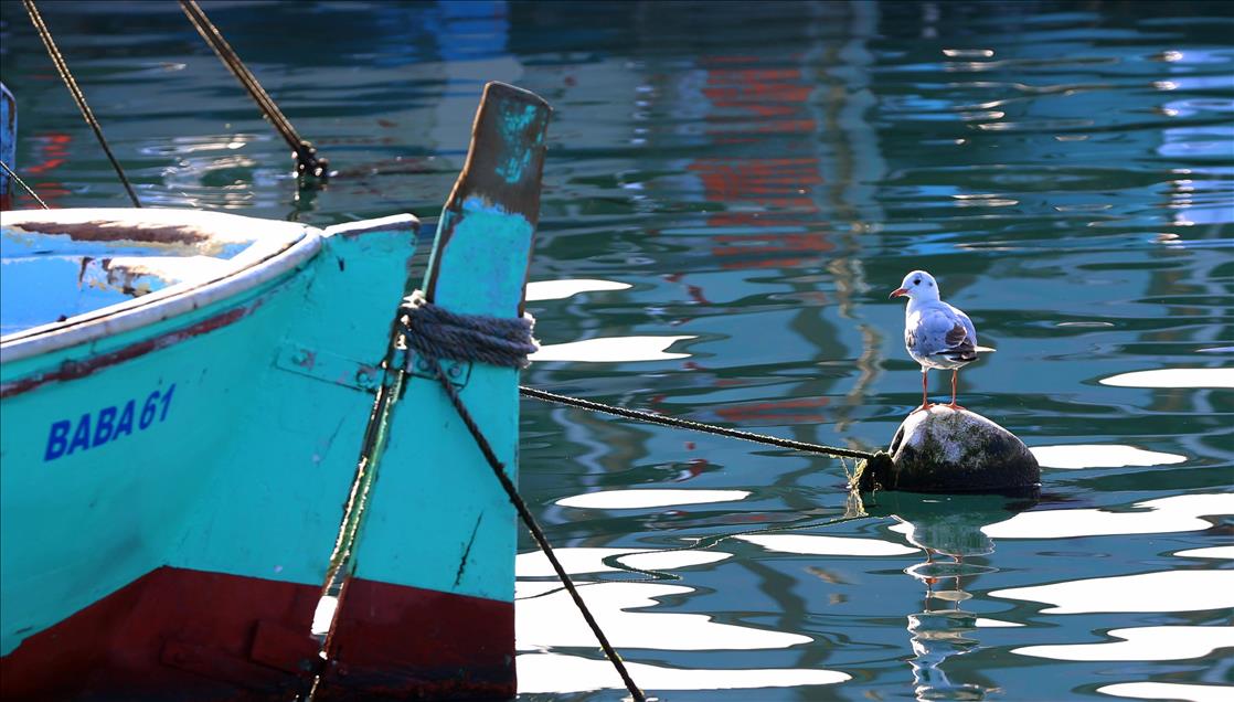 Trabzon'da güneşli hava