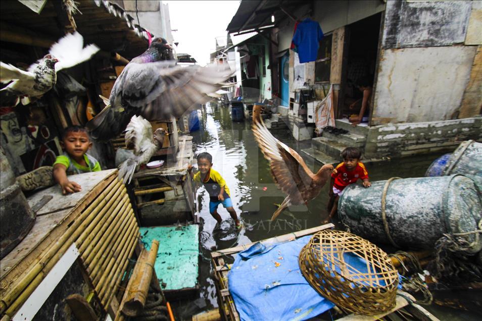 Sea level rises in Jakarta due to Supermoon