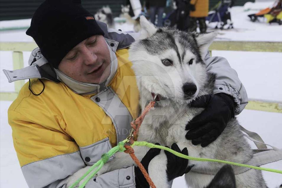 Carrera de trineo de perros en Novosibirsk, Rusia