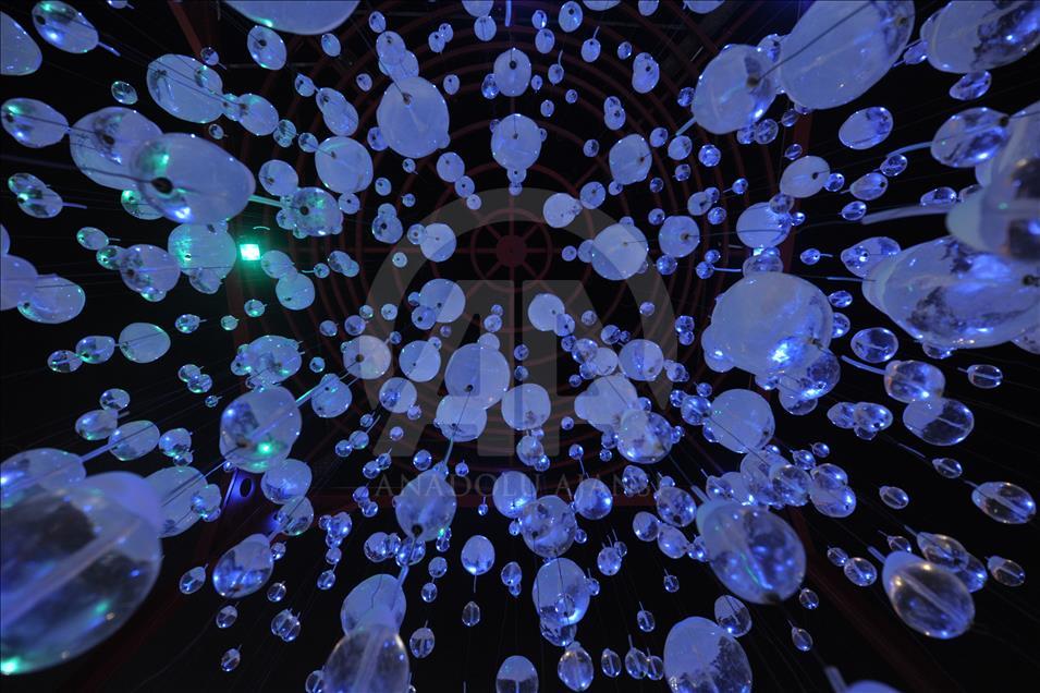 34th Harbin International Ice and Snow Sculpture Festival begins in China 