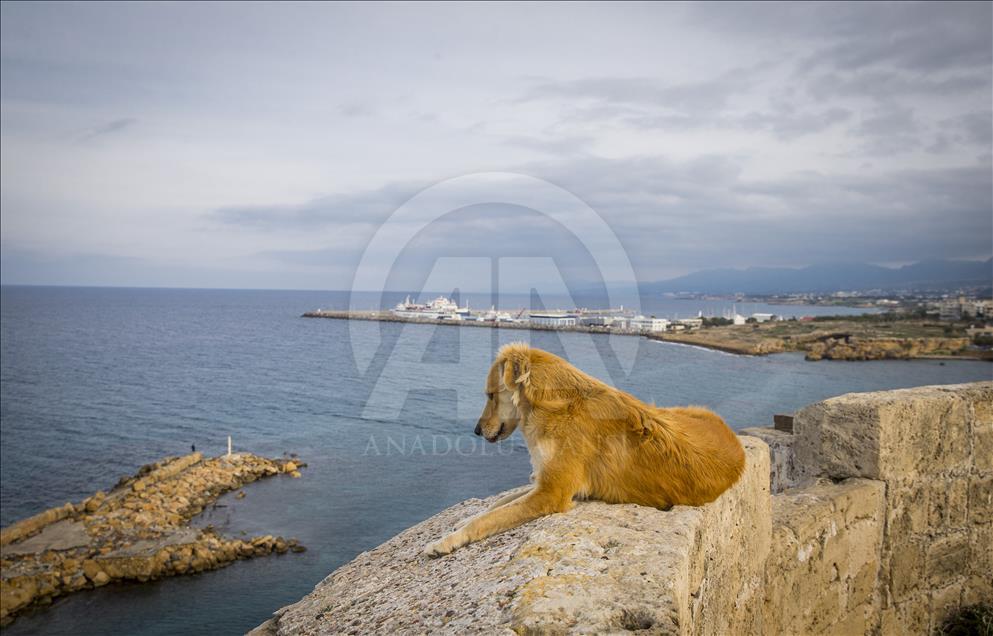 Kıbrıs’ın zaman tüneli: Girne Kalesi