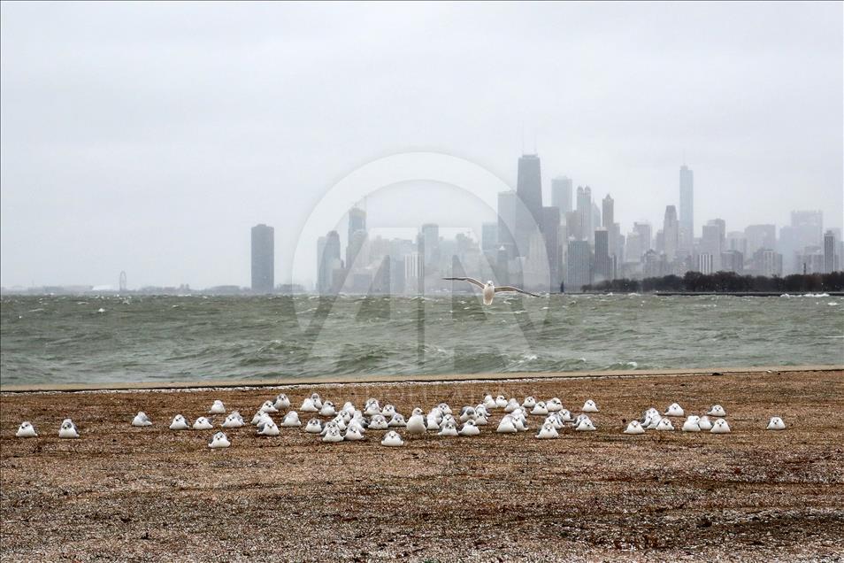 Severe winter hits Chicago