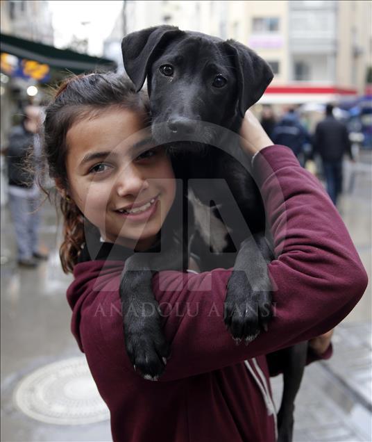 Hearthwarming friendship between Syrian girl and a stray dog in Turkey's Izmir 