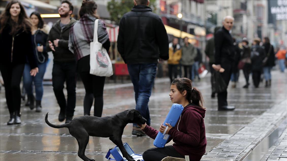Hearthwarming friendship between Syrian girl and a stray dog in Turkey's Izmir 