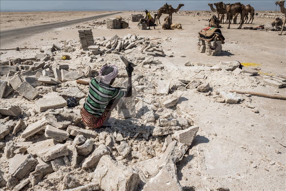  Ethiopian salt miners working in extreme conditions