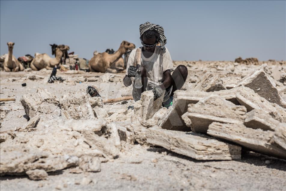  Ethiopian salt miners working in extreme conditions