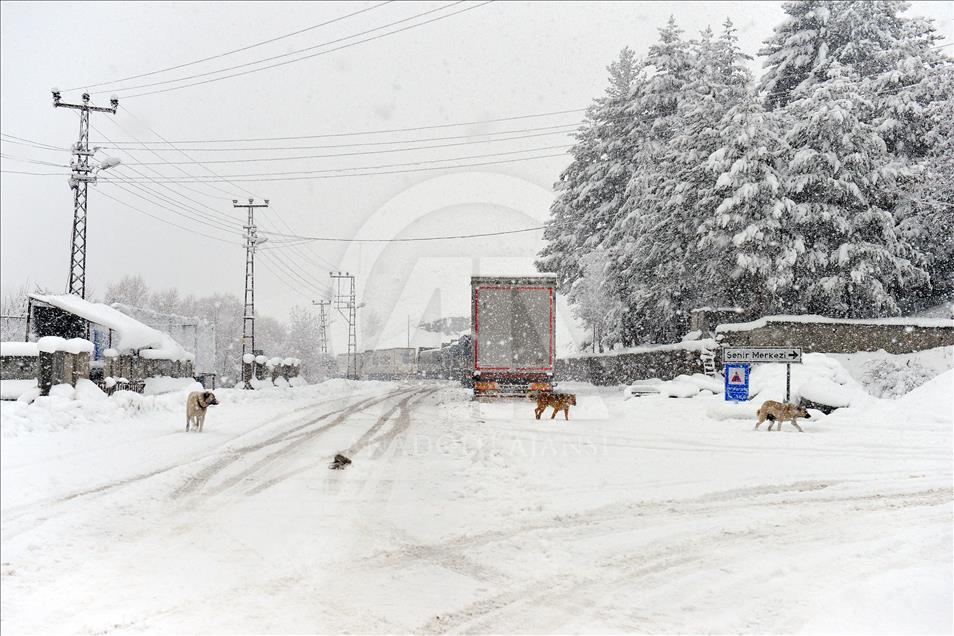 Tunceli'de kar yağışı ve tipi