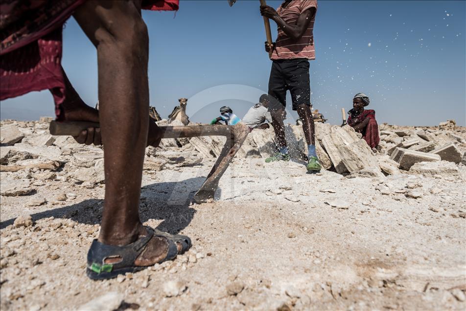  Ethiopian salt miners working in extreme conditions