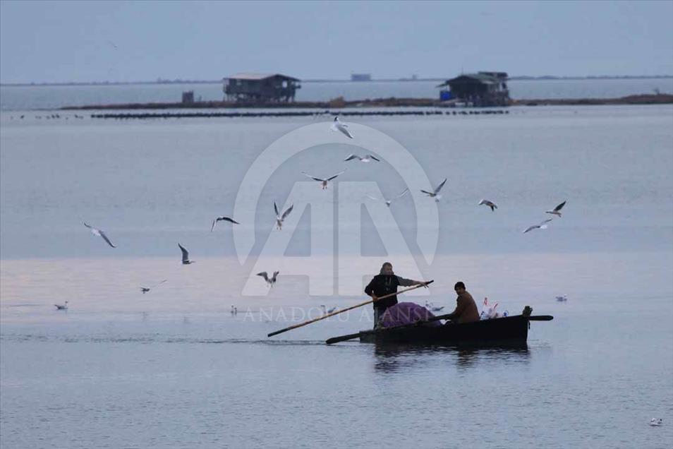 Cukurova, el municipio turco que es el paraíso de las aves migratorias