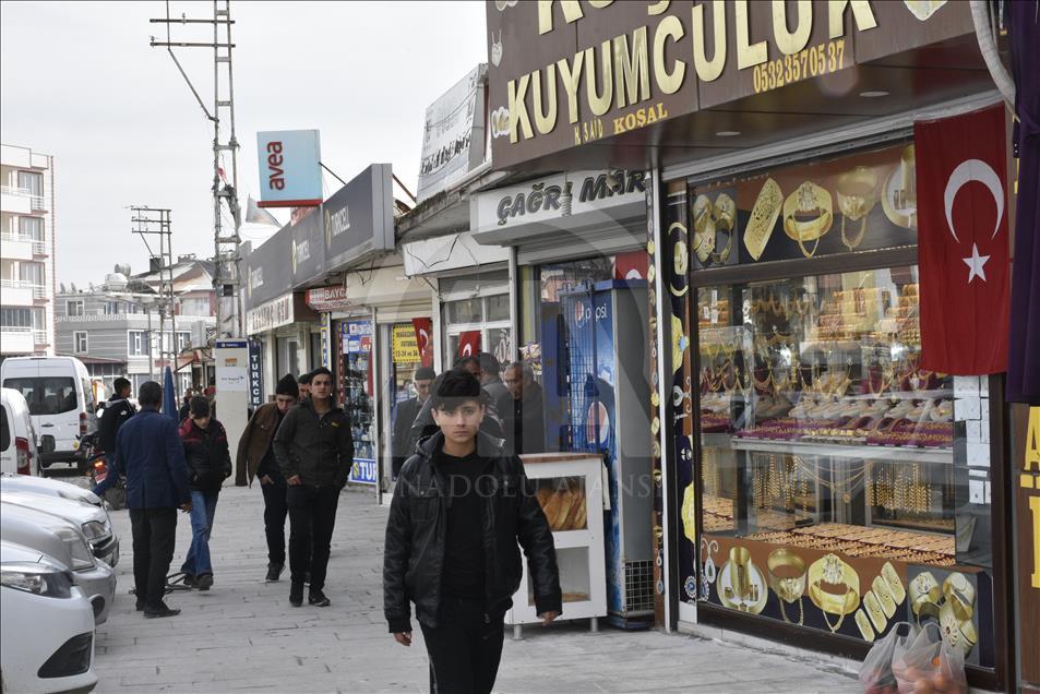Güneydoğu'da Zeytin Dalı Harekatı'na bayraklı destek