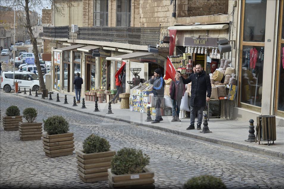 Güneydoğu'da Zeytin Dalı Harekatı'na bayraklı destek