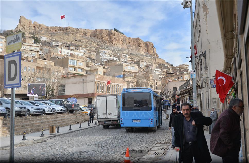 Güneydoğu'da Zeytin Dalı Harekatı'na bayraklı destek