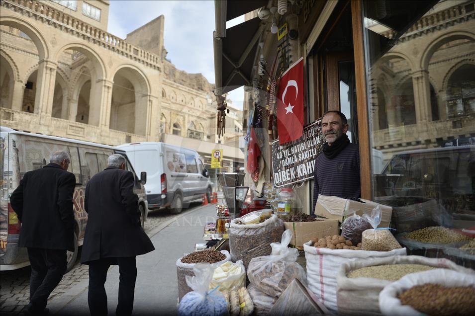Güneydoğu'da Zeytin Dalı Harekatı'na bayraklı destek