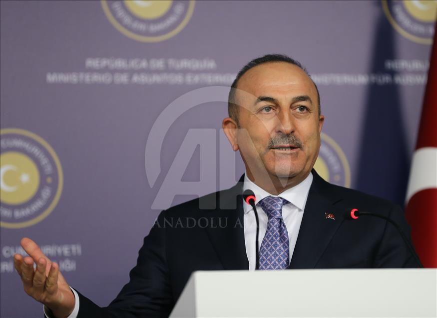 Çavuşoğlu, Avusturya Dışişleri Bakanı ile Dolmabahçe'de bir araya geldi 