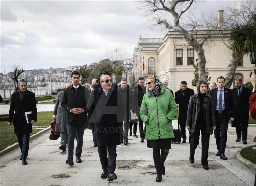 Çavuşoğlu, Avusturya Dışişleri Bakanı ile Dolmabahçe'de bir araya geldi 