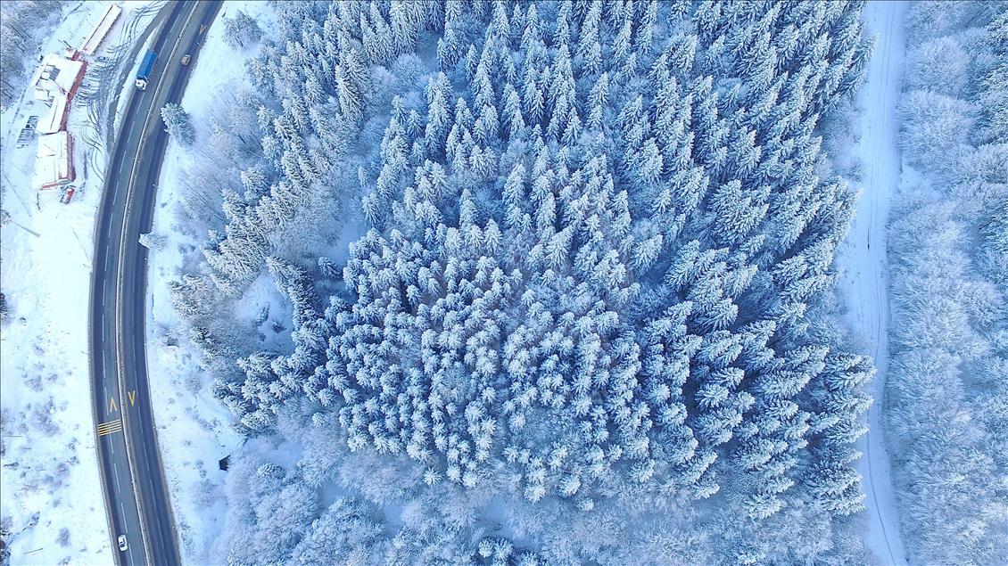 Bolu Dağı'nın eşsiz kar manzarası