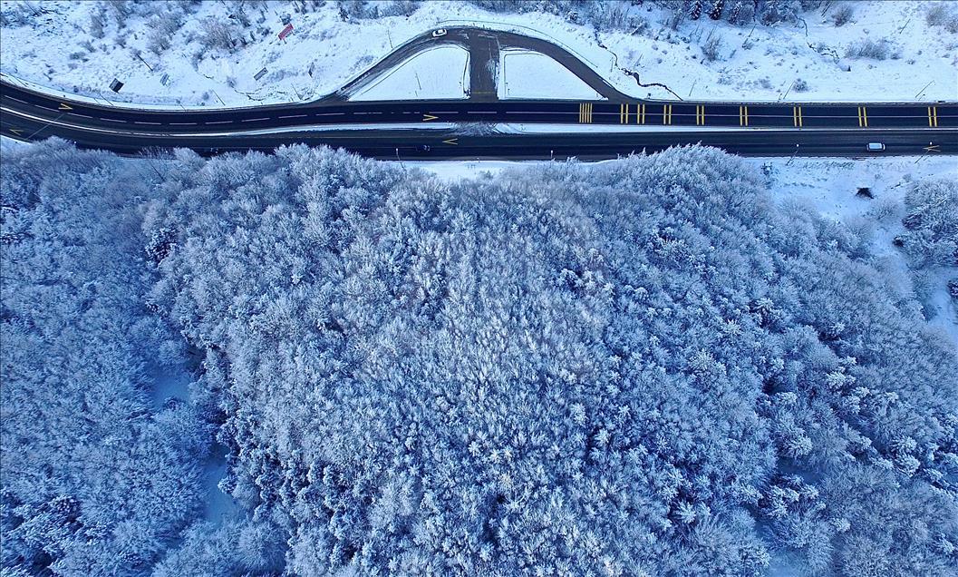 Bolu Dağı'nın eşsiz kar manzarası