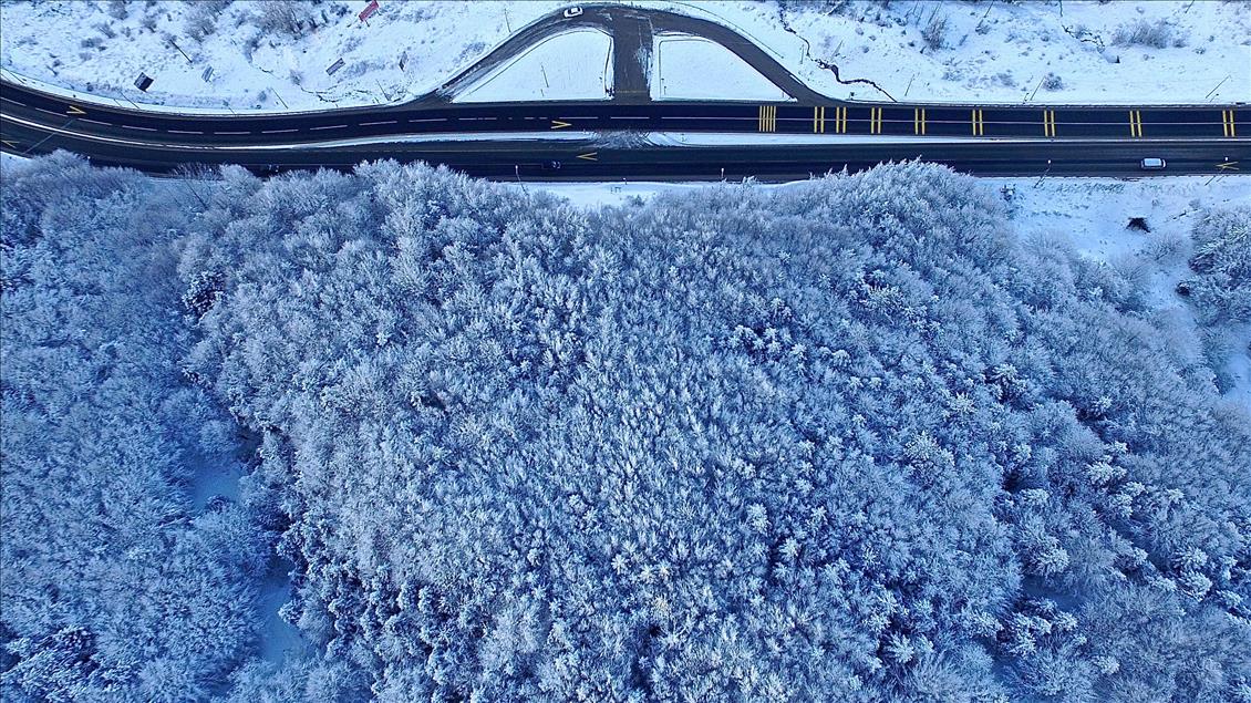 Bolu Dağı'nın eşsiz kar manzarası