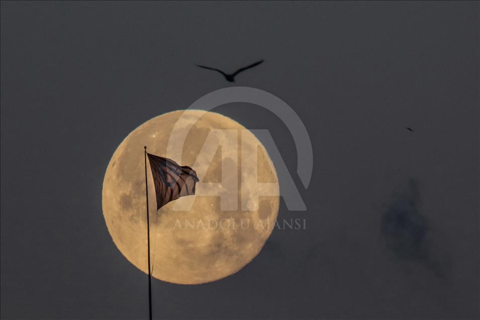 Bulan "berdarah" di ujung Januari