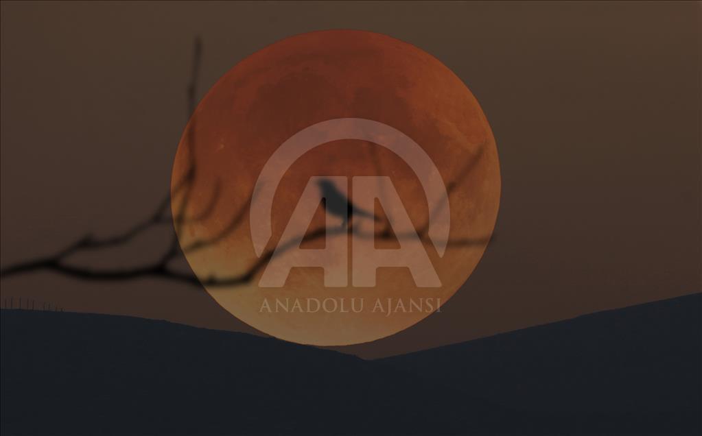 Bulan "berdarah" di ujung Januari